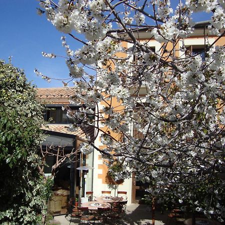 Hotel El Faixero Tradicional Cinctorres Exterior foto